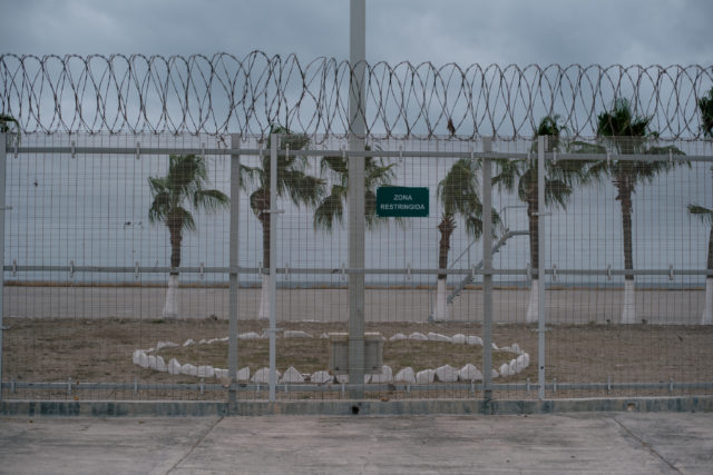 A barbed fence in the foreground, palm trees swaying in the background