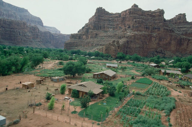 The Supai village overshadowed by the Grand Canyon