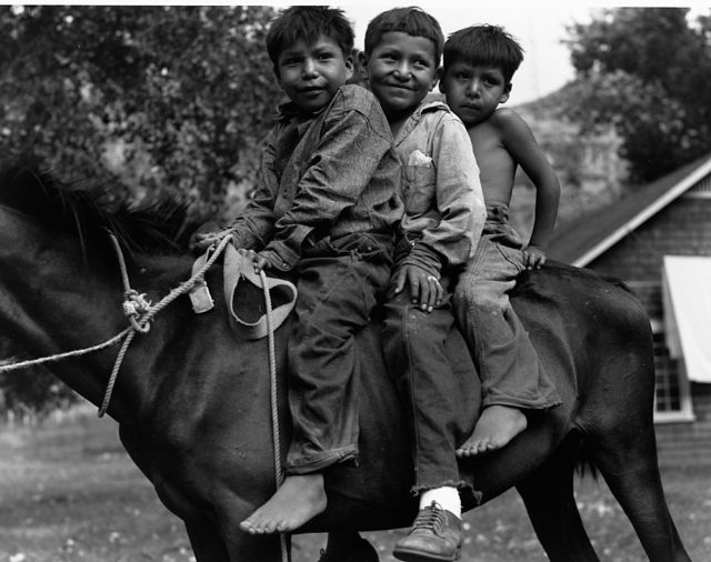 Three little boys on a horse