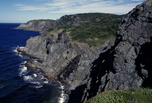 Rocky cliff on the coast of Newfoundland