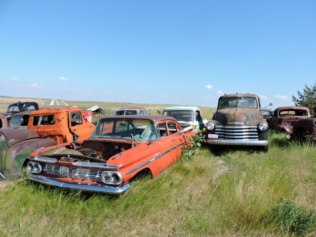 Abandoned cars in a field with tall grass.