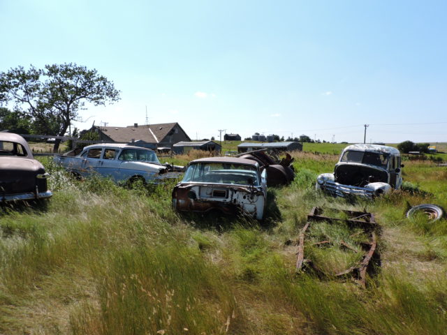 Abandoned and rusted cars in a field of tall grass with a house in the background.