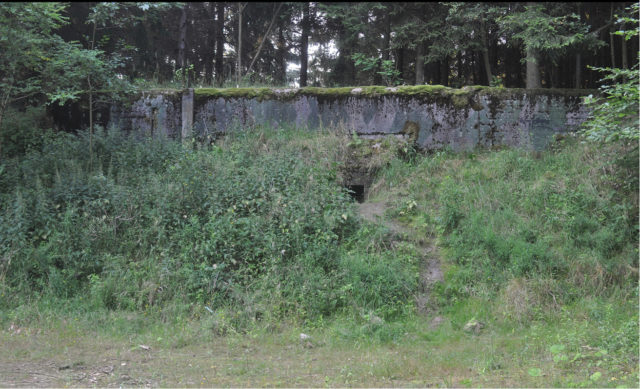 Entrance to a Soviet-era bunker, covered by tall grass