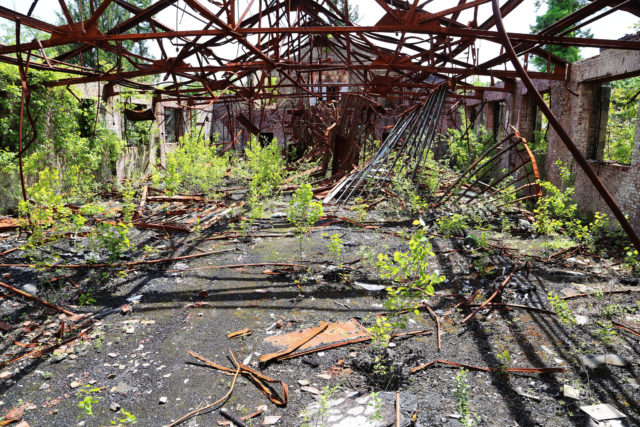 A building decayed to its structural steel, foliage growing inside