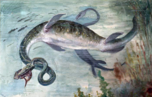 Painted Elasmosaurus swimming in water, hunting prey.