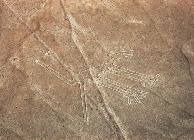 An aerial view of what appears to be a dog-like creature etched into the ground at the Nazca archaeological site