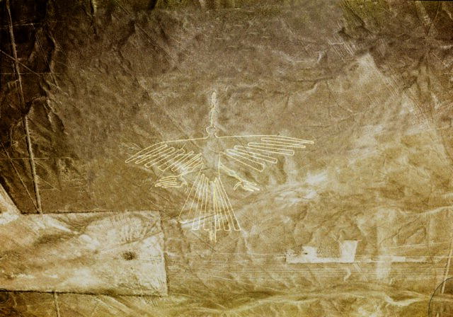 An aerial view of what appears to be a kind of bird etched into the ground at the Nazca archaeological site.