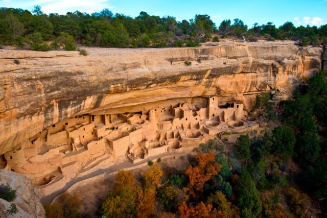 Aerial view of Cliff Palace of Mesa Verde build into the side of a cliff with trees around it.