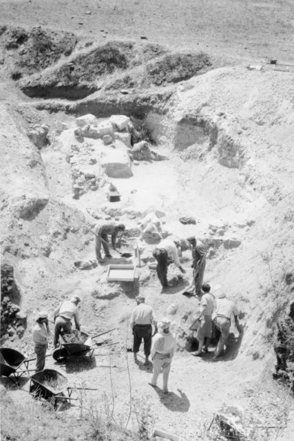 An above view of archaeologists digging in a ditch