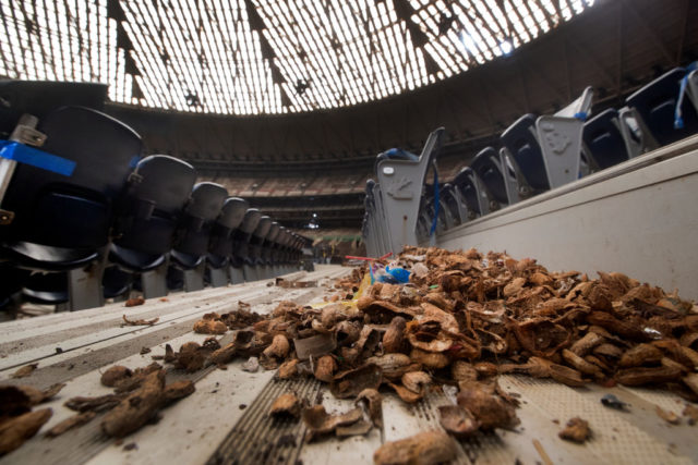 Peanut shells scattered across the floor between stadium seats