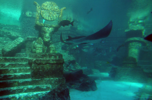 An underwater scene with stairs, a statue, and fish swimming