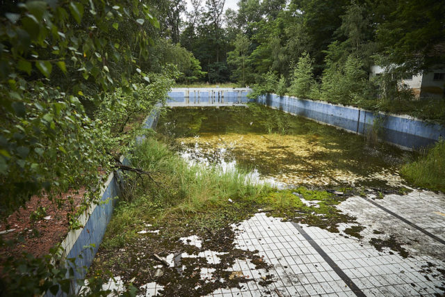 Abandoned outdoor pool full of plantlife.