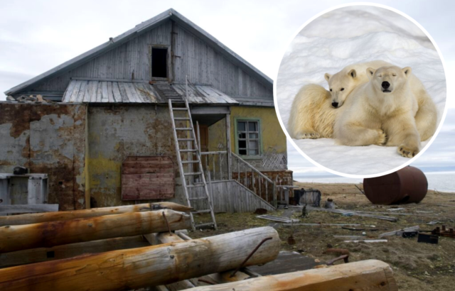 An abandoned building on Kolyuchin Island and two polar bears