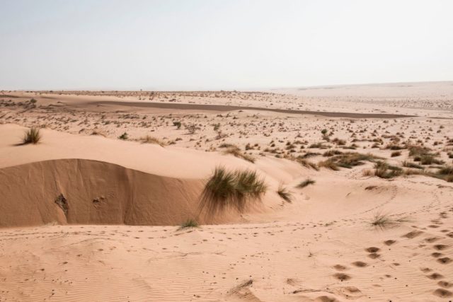 Photo of the Sahara Desert in Mauritania
