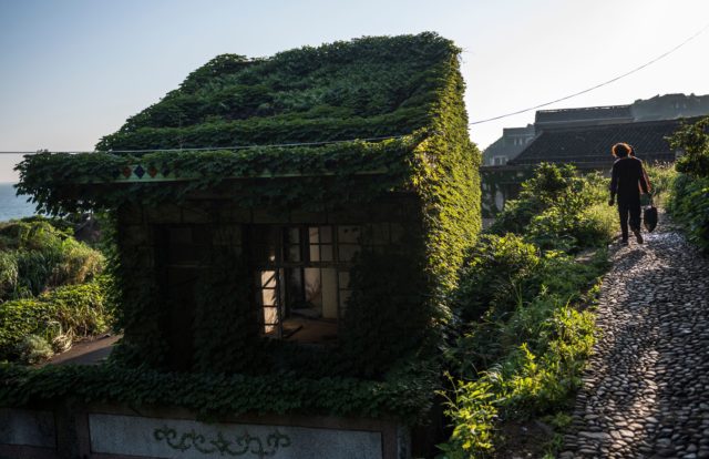 A small building entirely covered in plants. A man walks beside the house.