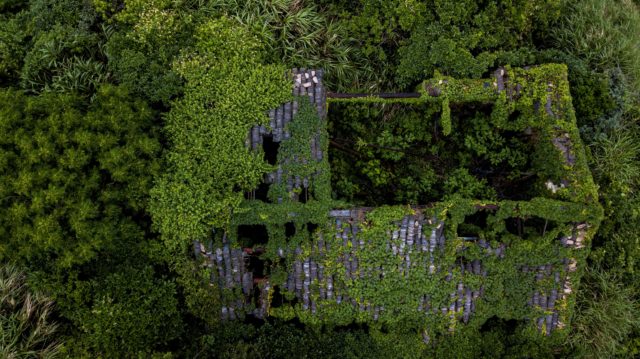 Aerial view of a decaying rooftop with plants growing over it.