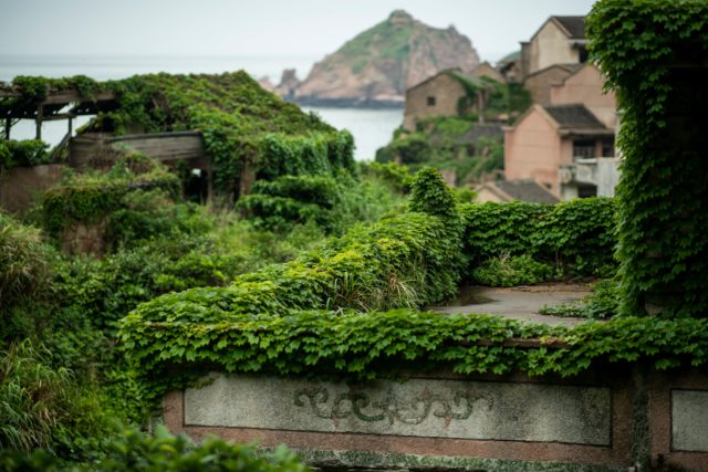 The view of a balcony covered in lush greenery with other buildings covered in foliage in the background. A mountain and water can be seen between buildings