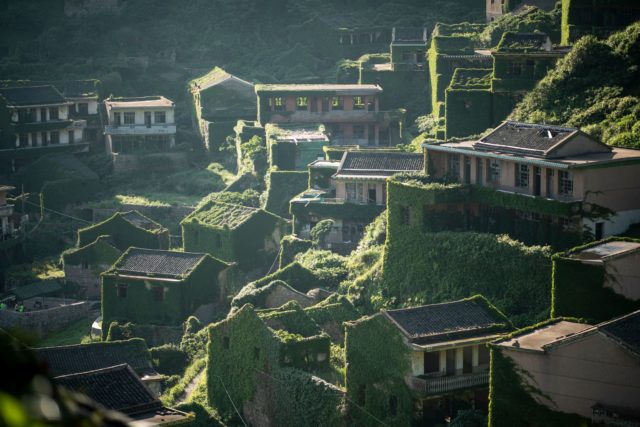 A view of abandoned buildings on a hill covered in green foliage