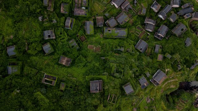 Aerial view of rooftops surrounded by lush greens