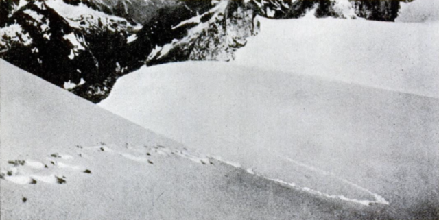 A photo of Yeti footprints in the snow