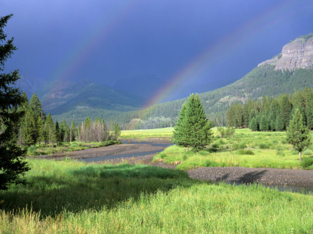 View looking out over green grass with pine trees, mountains, and a double rainbow in the distance.