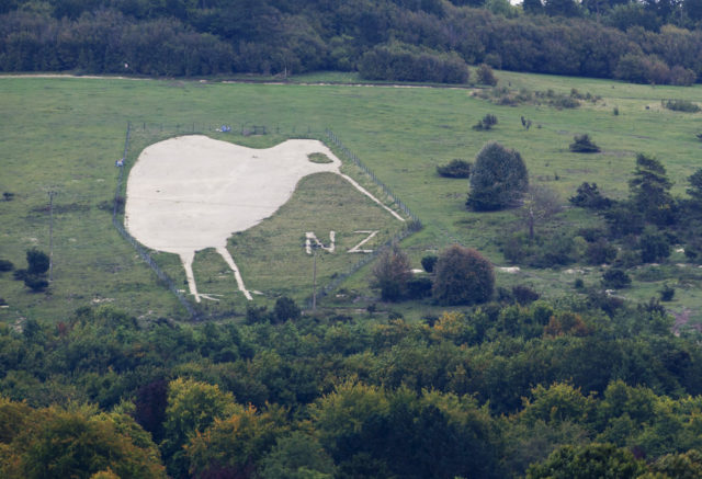 A white kiwi bird with the initials "NZ" carved into a hillside. 