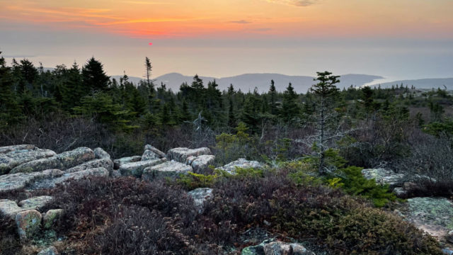 View of pine trees and rocks looking out over a sunset.