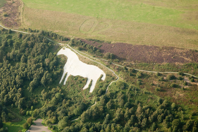 A figure of a white horse carved into a hillside.