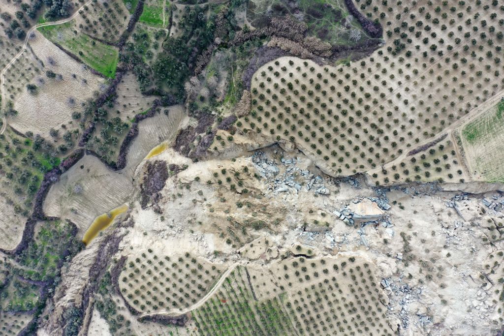 An Olive Grove Was Partly Swallowed After Devastating Turkey/Syria