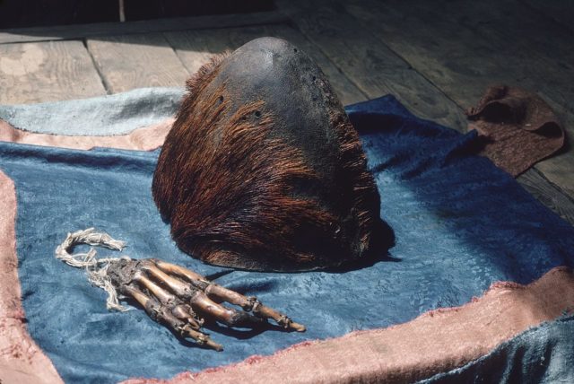 The Yeti scalp and hand lie on a cloth
