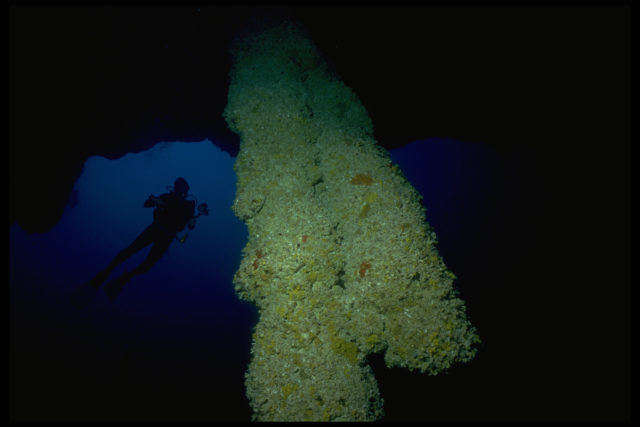 a stalactite submerged in water, the silhouette of a diver in the background.