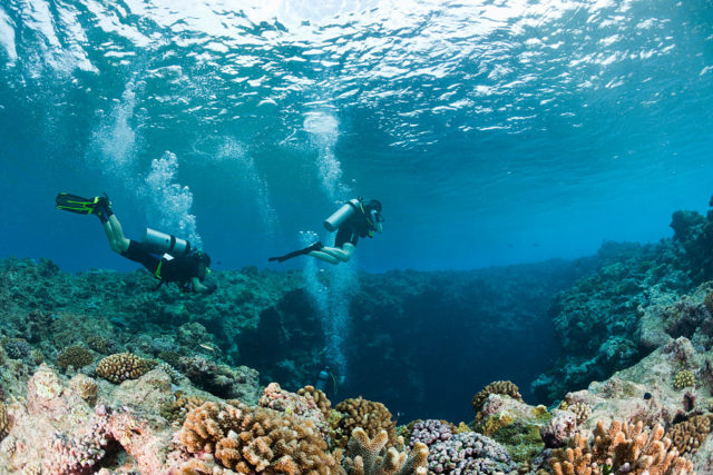 Two scuba divers as they enter the opening into a deep cave, the reef visible around them.