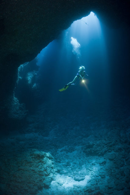 A scuba diver in the light from the ocean surface, holding a flashlight.