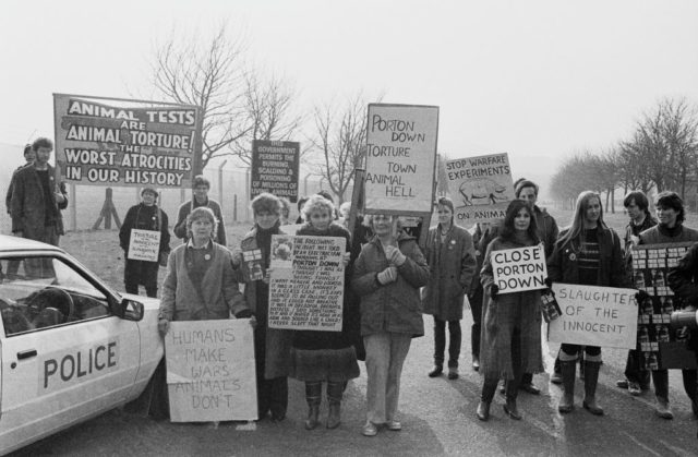 Group of animal rights protestors with signs stand in a road.