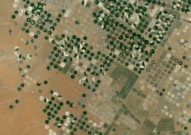 A satellite view of Saudi Arabian crop circles, formed into tight circles.