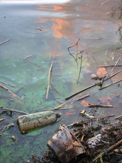 Plastic bottle and other garbage floating in oily water. 