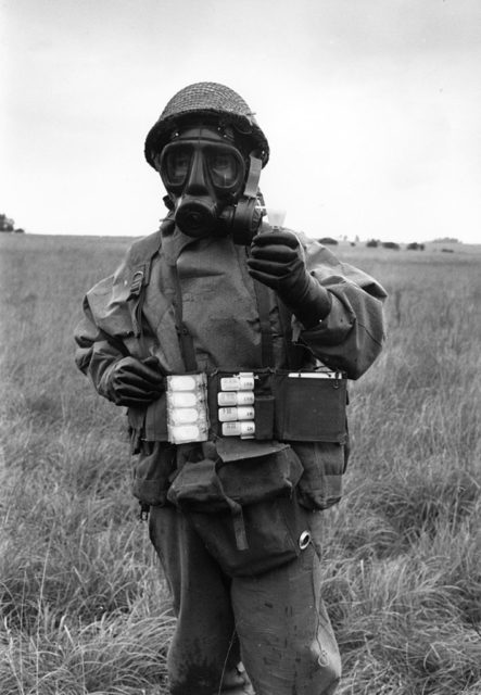 Soldier in uniform with a gas mask standing in a field. 