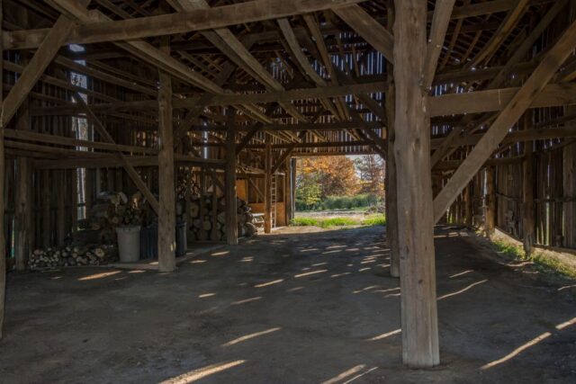 Interior of a wooden barn with a pile of logs in the corner.