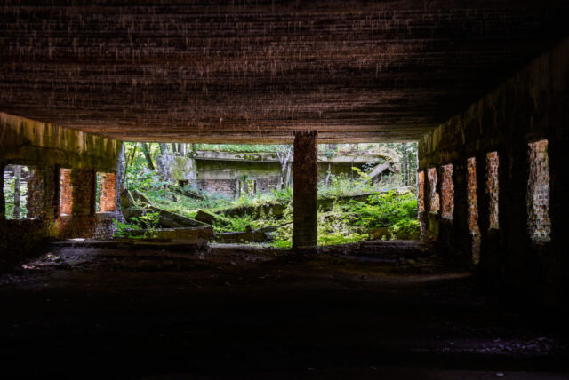 Inside of a concrete bunker with windows on all sides, opening up to greenery. 