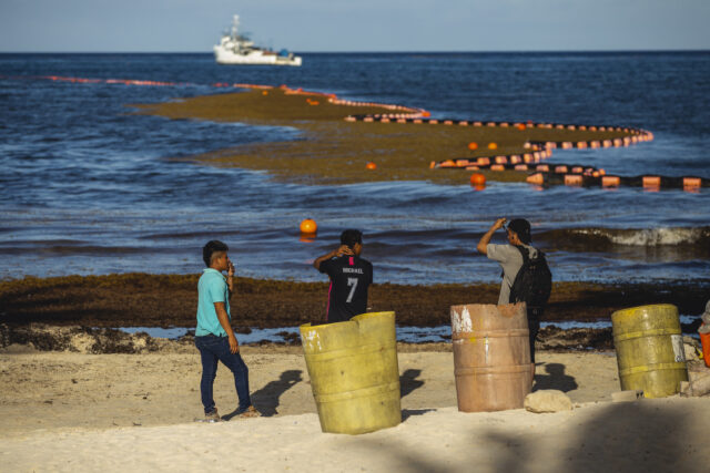 Three people stand on a beach facing the ocean. A boat is in the distance, and buoys are lining a sargassum seaweed mat on the waters surface.