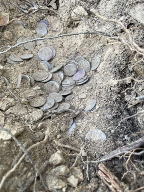 Silver coins partially buried in the ground