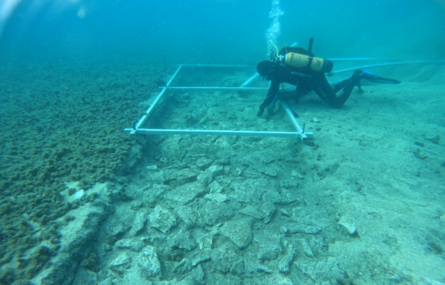 Diver swimming over a 7,000-year-old road in the Adriatic Sea