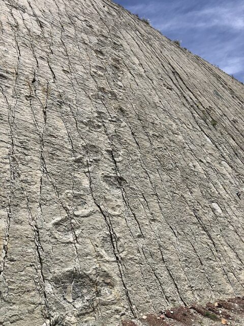 Bolivian Wall Contains Over 5,000 Individual Dinosaur Tracks