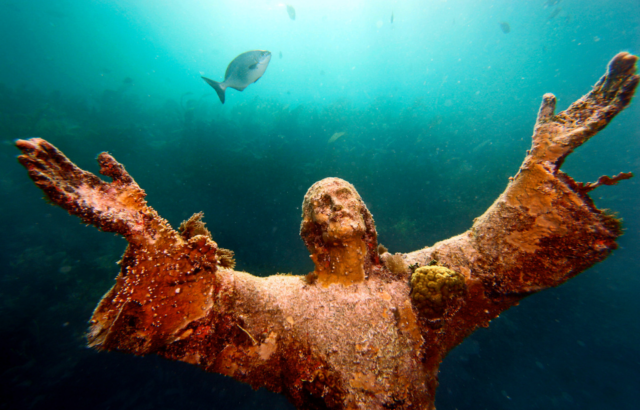 Fish swimming around the Christ of the Abyss statue