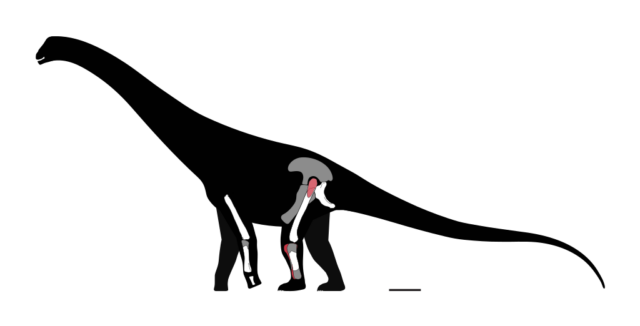 Illustration of Chucarosaurus Diripienda