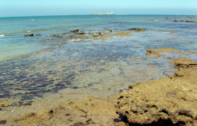 The Sancti Petri coastline, which scans have shown the remnants of the Temple of Hercules Gaditanus.