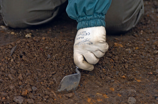 Individual digging into the dirt with a spade