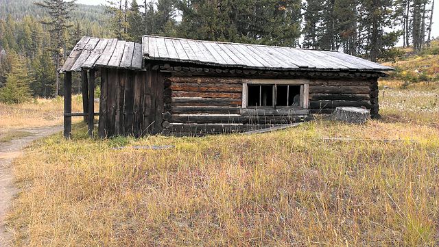 Cabin surrounded by tall grass