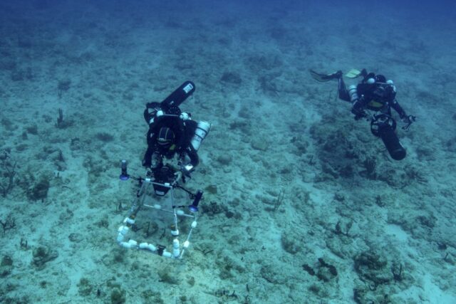Two divers swimming near the sea floor carrying different surveying equipment. 