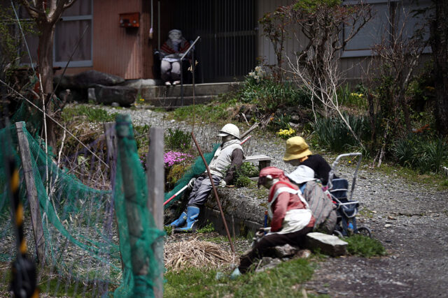 Dolls seated in a garden.